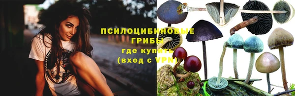 ГАЛЛЮЦИНОГЕННЫЕ ГРИБЫ Богородск