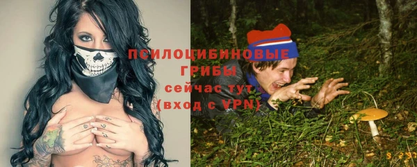 ГАЛЛЮЦИНОГЕННЫЕ ГРИБЫ Богородск
